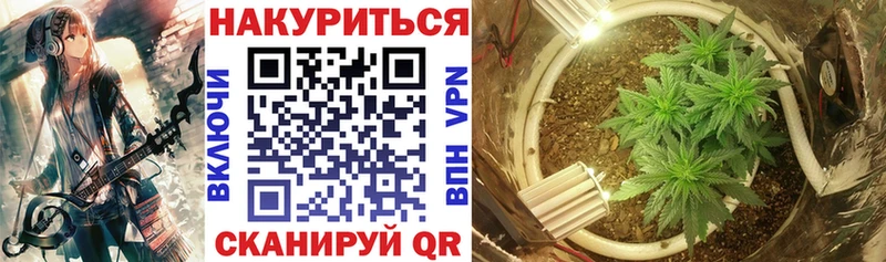 где можно купить наркотик  Иркутск  Конопля White Widow 